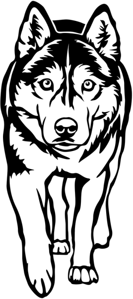 Aufkleber Husky
