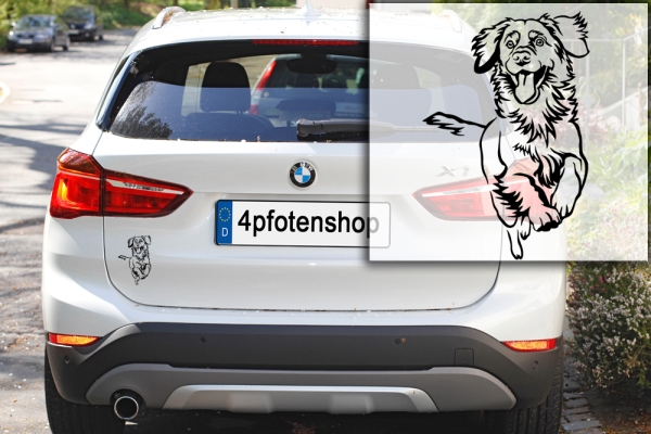 Autoaufkleber "Duck Tolling Retriever" Kontur