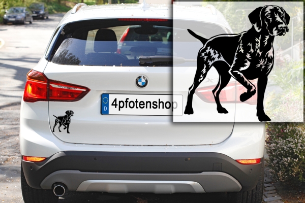 Autoaufkleber "Deutsch Kurzhaar" Kontur