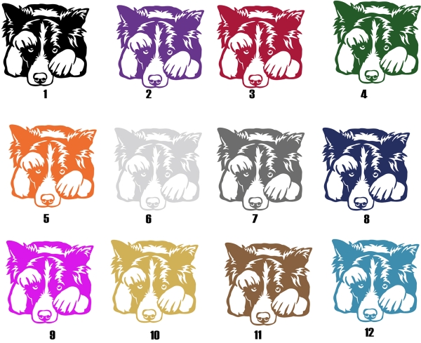 Autoaufkleber "Border Collie" Kontur