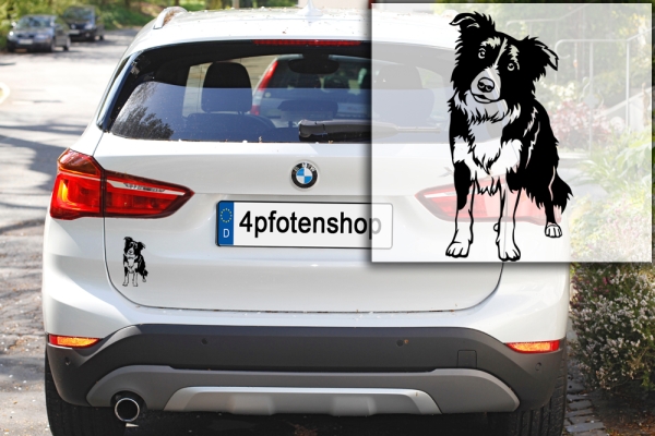 Autoaufkleber "Border Collie" Kontur