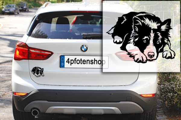 Autoaufkleber "Border Collie" Kontur