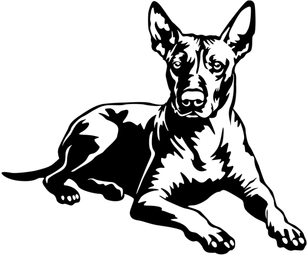 Aufkleber Xoloitzcuintle