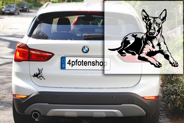 Autoaufkleber "Xoloitzcuintle" Kontur