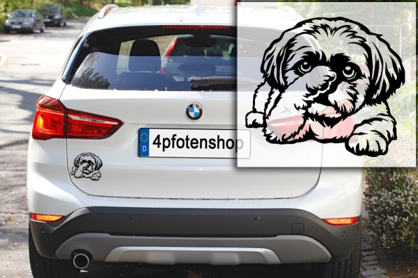 Autoaufkleber "Shih-Tzu" Kontur