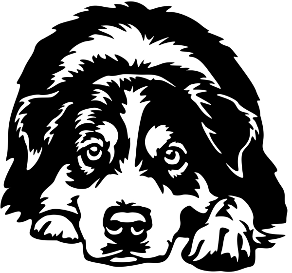 Aufkleber Australian Shepherd