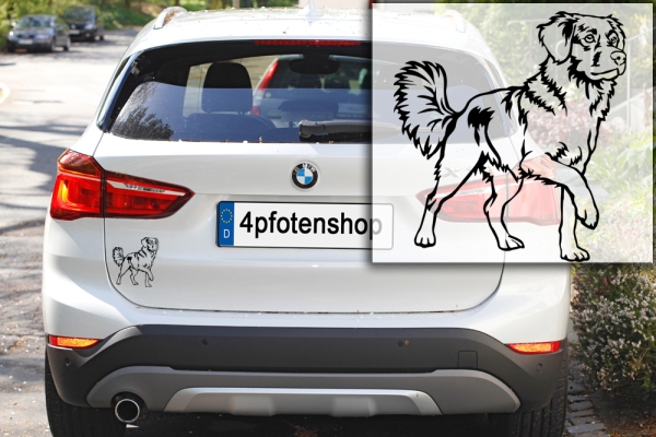 Autoaufkleber "Duck Tolling Retriever" Kontur