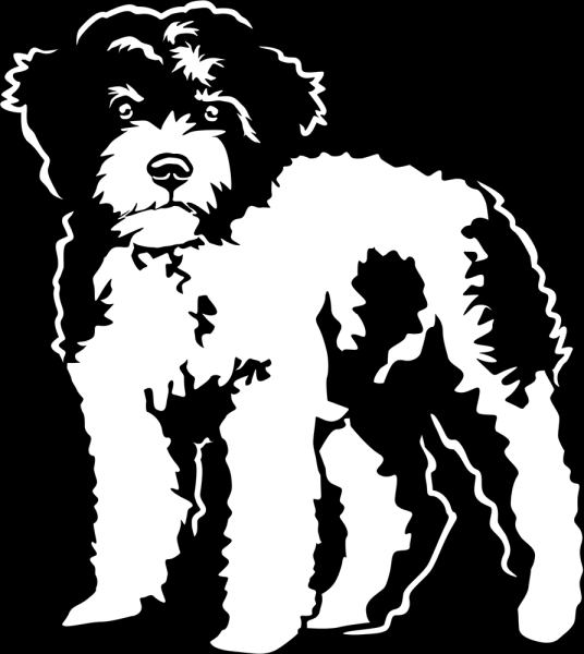 Aufkleber Lagotto Romagnolo