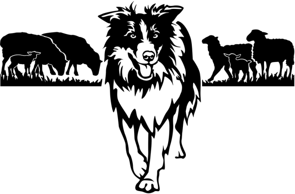 Aufkleber Border Collie