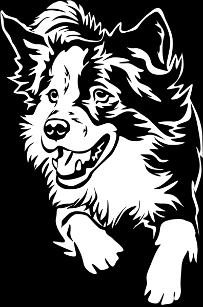 Aufkleber Border Collie