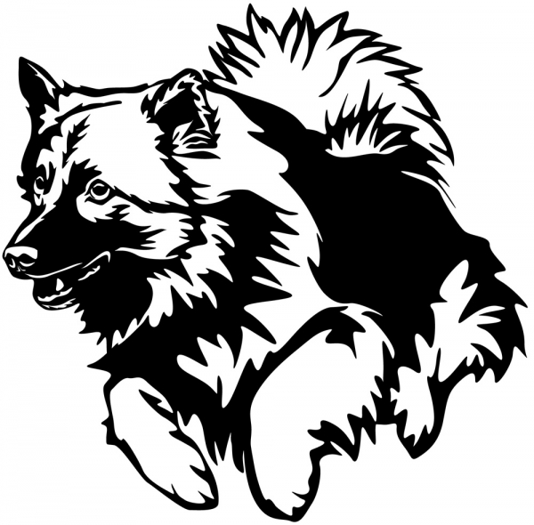 Aufkleber Wolfsspitz