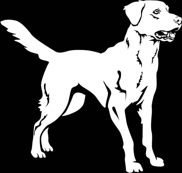 Aufkleber Labrador