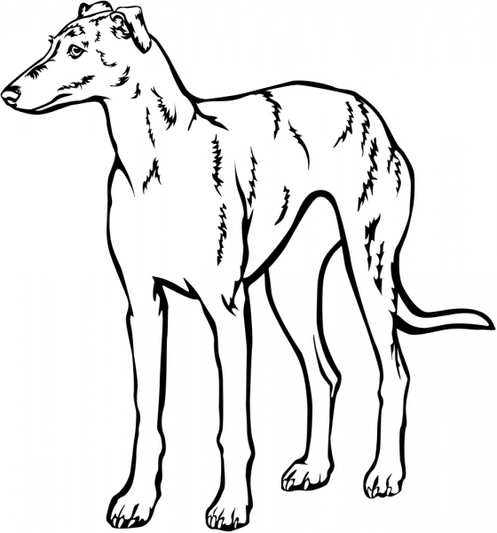 Aufkleber Galgo