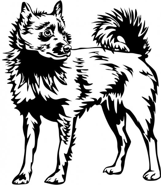 Aufkleber Schipperke