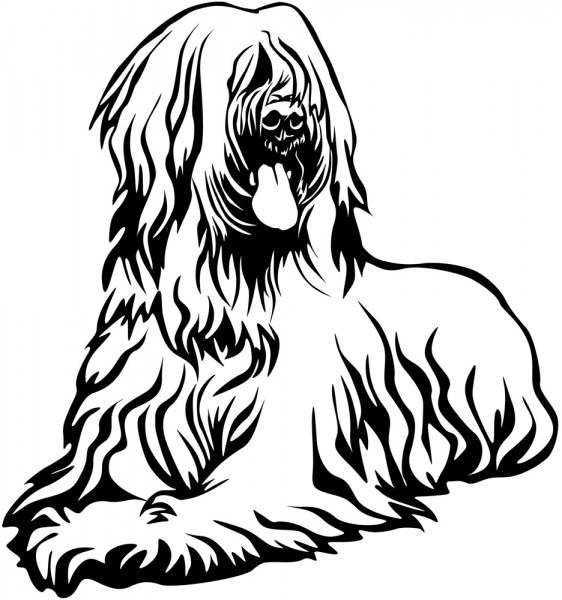 Aufkleber Briard