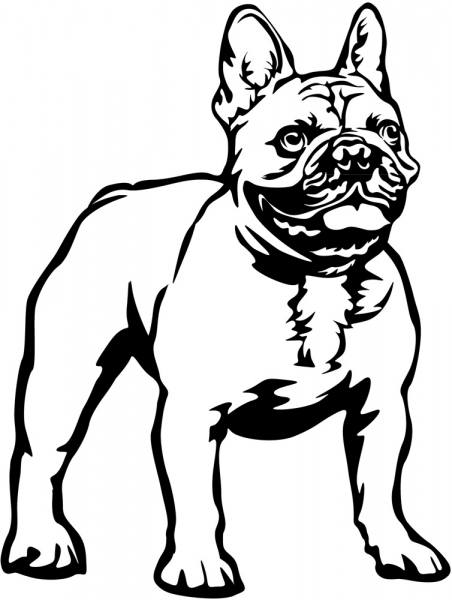 Aufkleber Französische Bulldogge