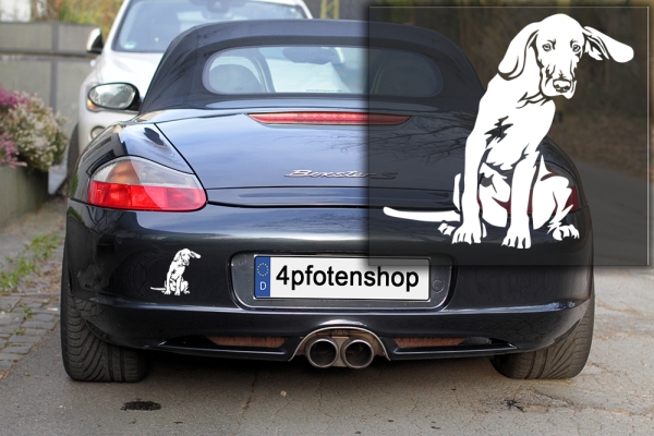 Autoaufkleber "Weimaraner" Kontur