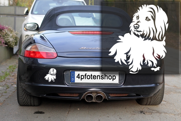 Autoaufkleber "Coton de Tulear" Kontur