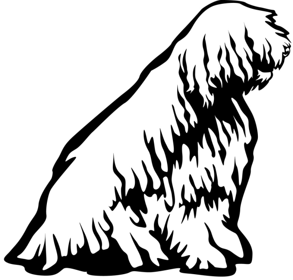 Aufkleber Komondor