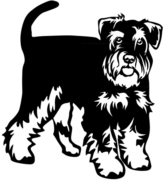 Aufkleber Zwergschnauzer