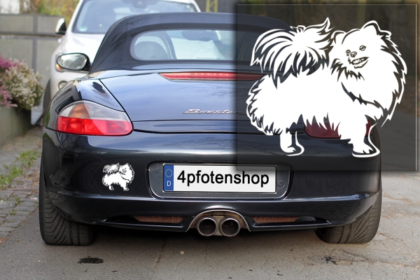 Autoaufkleber "Zwergspitz (Pomeranian)" Kontur