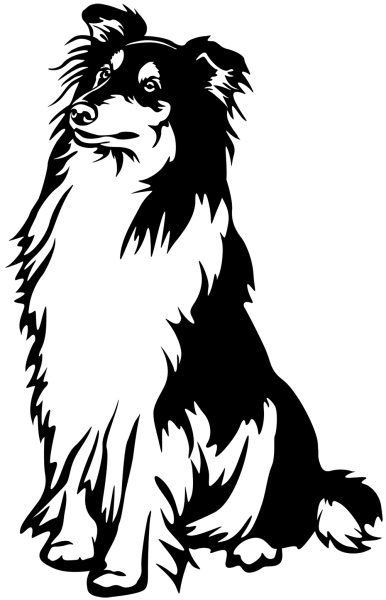 Aufkleber Collie