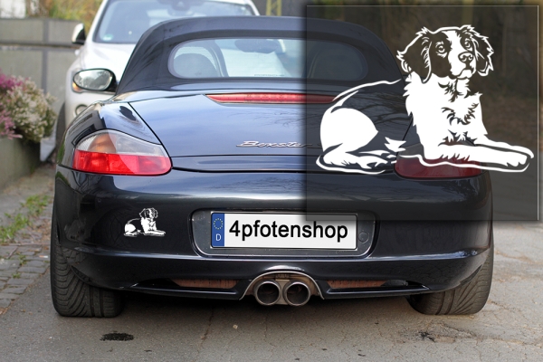 Autoaufkleber "Epagneul Breton" Kontur