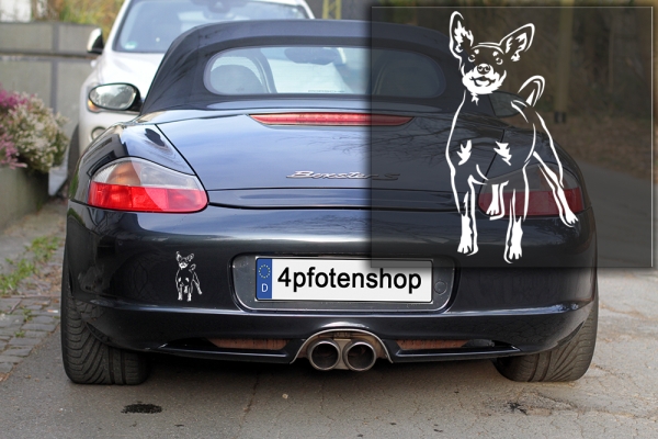 Autoaufkleber "Zwergpinscher" Kontur