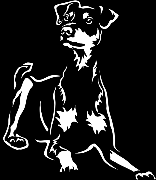 Aufkleber Deutscher Pinscher