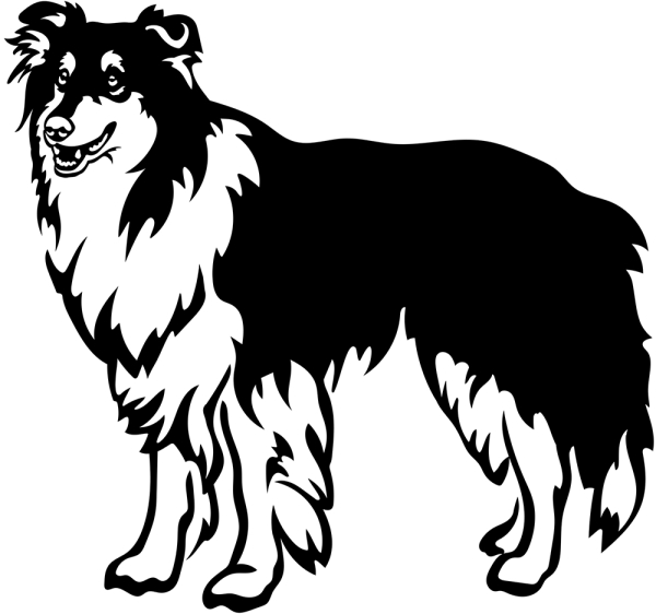 Aufkleber Collie