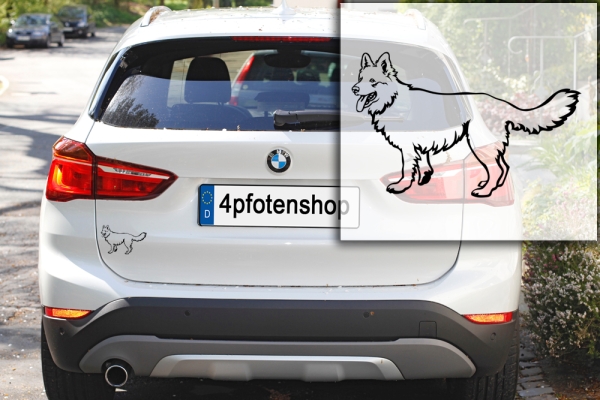 Autoaufkleber "Schweizer Schäferhund" Kontur