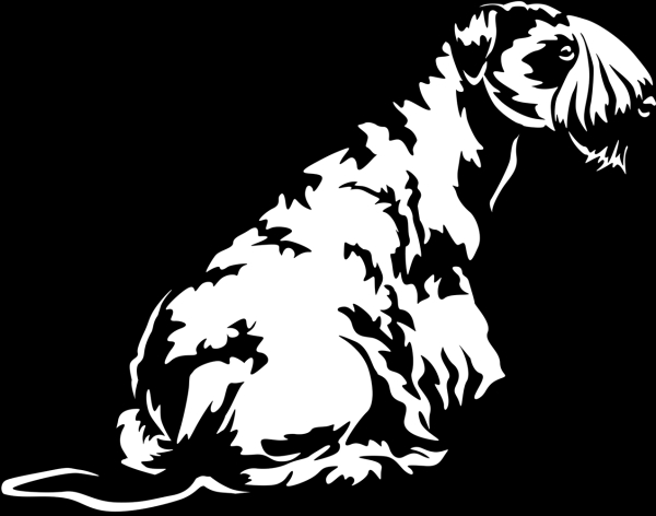 Aufkleber Cesky Terrier