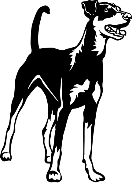 Aufkleber Deutscher Pinscher