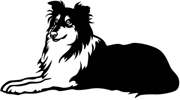 Aufkleber Collie