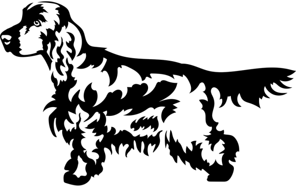 Aufkleber Cocker Spaniel