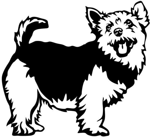 Aufkleber Norwich Terrier