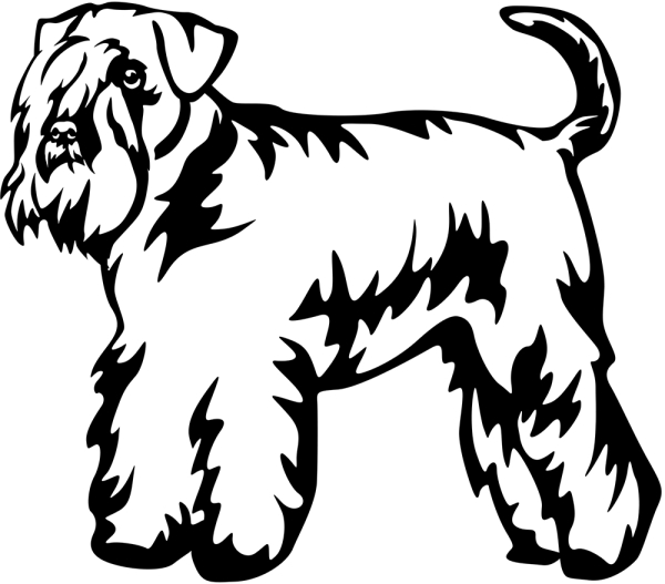 Aufkleber Schnauzer