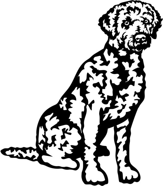 Aufkleber Lagotto Romagnolo