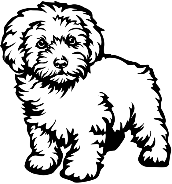 Aufkleber Maltipoo