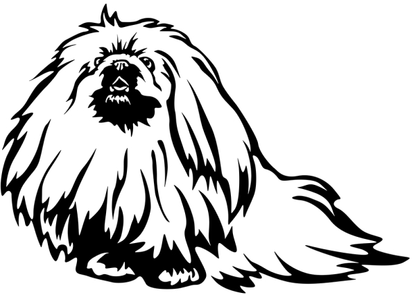 Aufkleber Pekinese