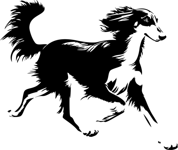 Saluki Konturenaufkleber