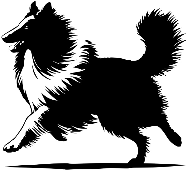 Aufkleber Collie