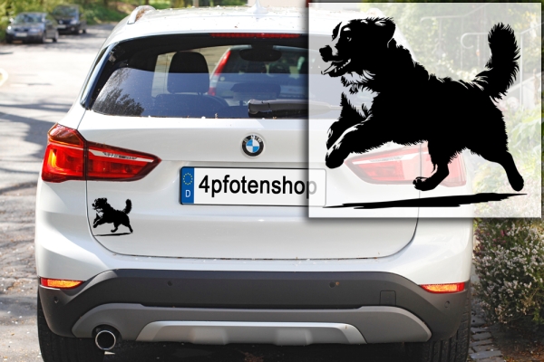 Autoaufkleber "Berner Sennenhund" Kontur