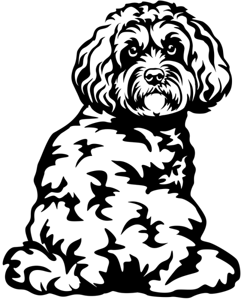 Aufkleber Cockerpoo Cockapoo