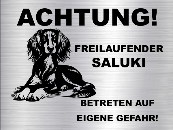 Hundeschild Saluki