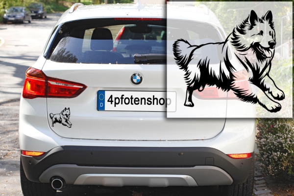 Autoaufkleber "Schweizer Schäferhund" Kontur