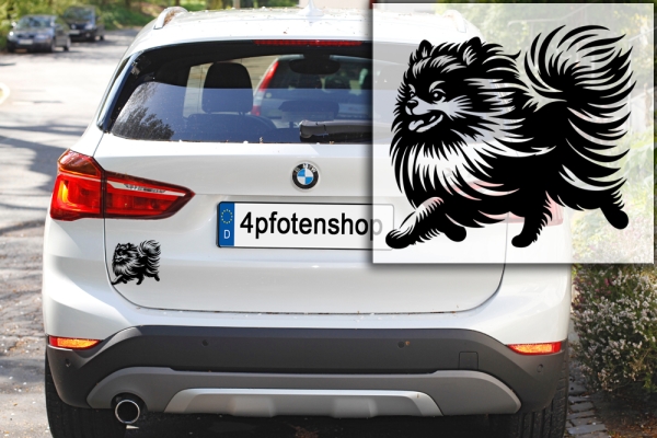 Autoaufkleber "Zwergspitz (Pomeranian)" Kontur