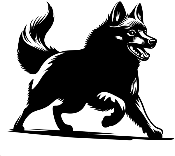 Aufkleber Schipperke