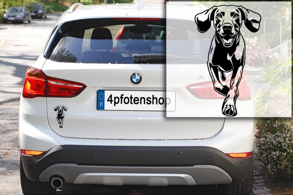 Autoaufkleber "Weimaraner" Kontur