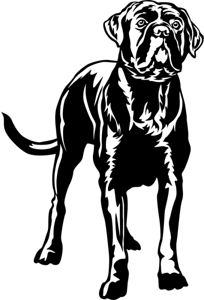 Aufkleber Cane Corso